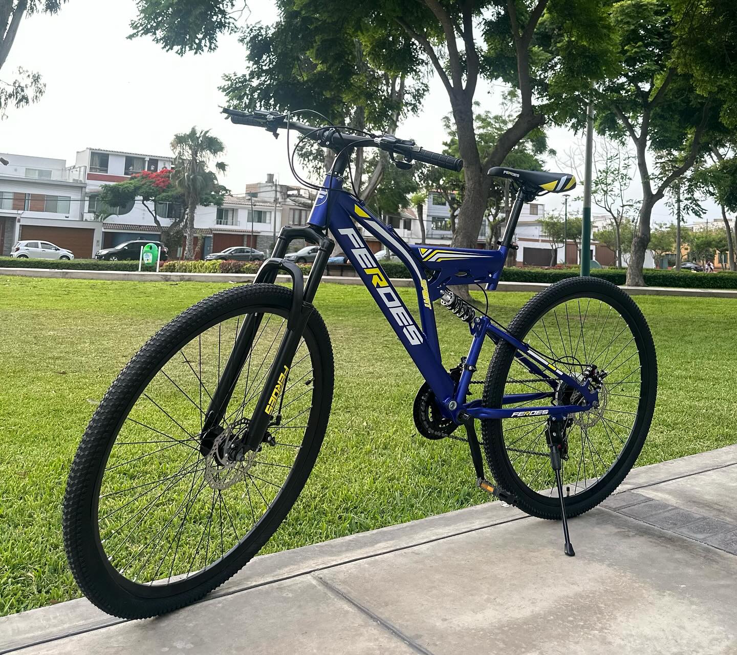Bicicleta Feroes montañera aro 29