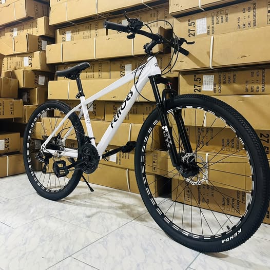 Bicicleta Feroes montañera