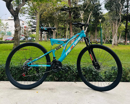 Bicicleta Feroes montañera aro 29